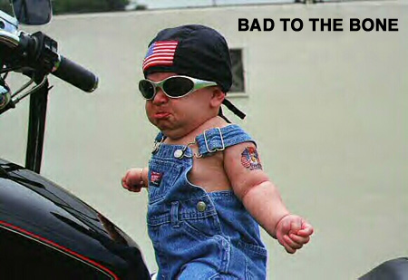 بچه هاي پروو & bad boys